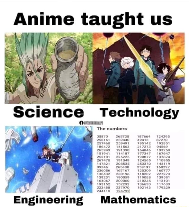 What anime taught us