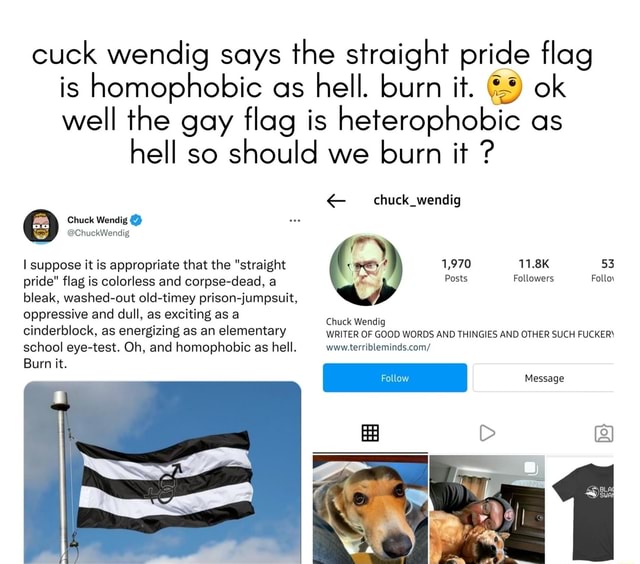Cuck Wendig Says The Straight Pride Flag Is Homophobic As Hell Burn It Ok Well The Gay Flag Is 