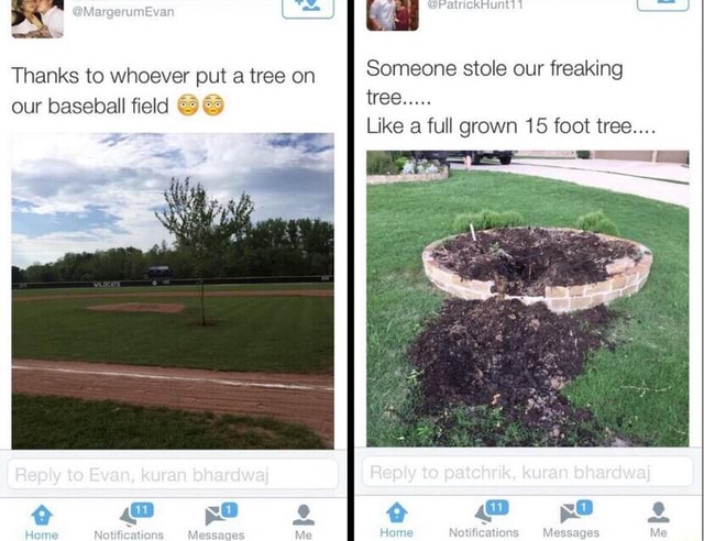 Left Field Meme Thanks to whoever put a tree on our baseball field @9 Someone stole our ...