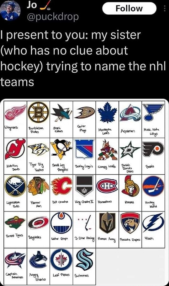 Jo 🏒 on X: I present to you: my sister (who has no clue about hockey)  trying to name the nhl teams  / X