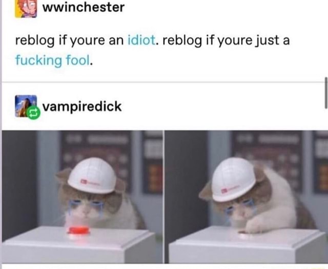 Wwinchester reblog if youre an idiot. reblog if youre just a fucking ...