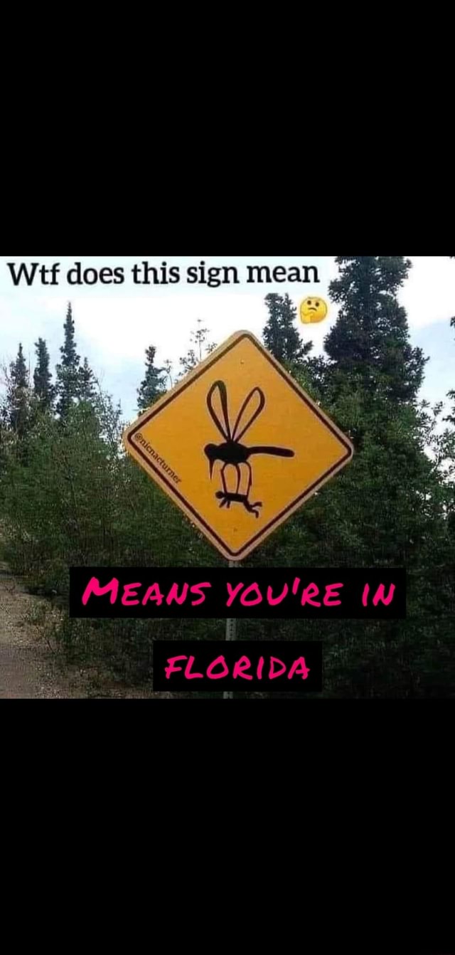 wt-does-this-sign-mean-in-florida-ifunny