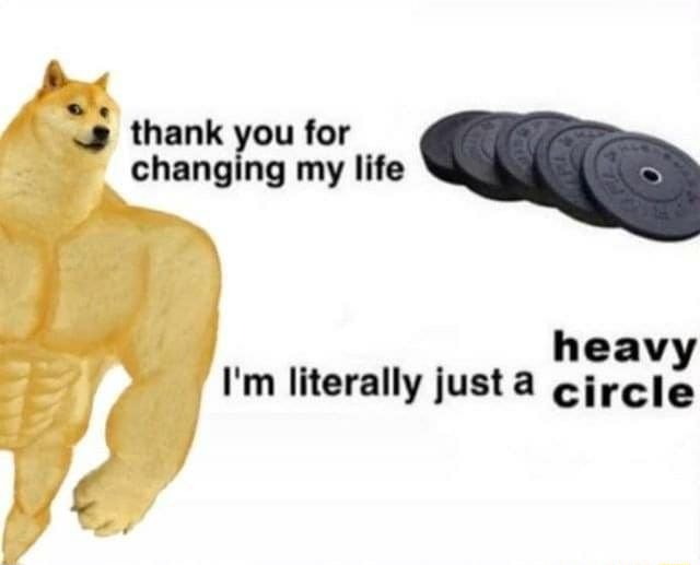Thank you for changing my life heavy I'm literally just circle iFunny )