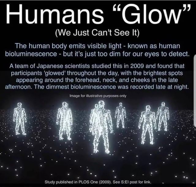 Humans 