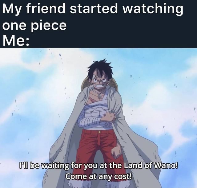 My Friend Started Watching One Piece Me I Ll Be Waiting For You At The Land Of Wano Come At Any Cost Ifunny