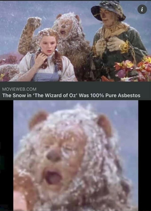 MOVIEWER COM The Snow in 'The Wizard of Oz' Was 100% Pure Asbestos - iFunny