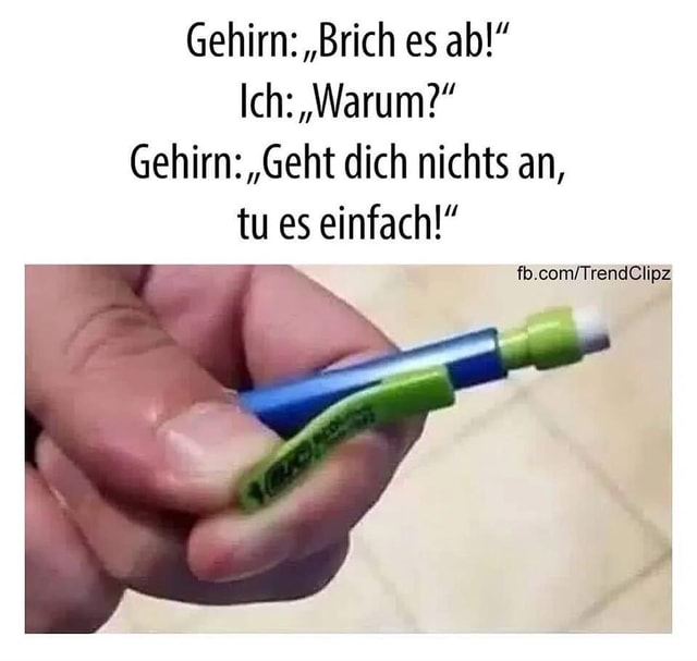 Das Geht Dich Nichts An Englisch Gehirn: "Brich es ab Ich: "Warum Gehirn: "Geht dich nichts an, tu es