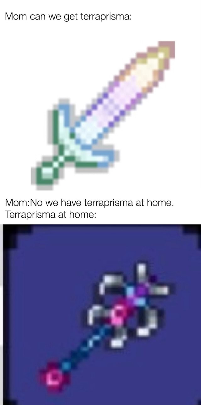 Mom can we get terraprisma: we have terraprisma at home. Terraprisma at  home: - iFunny