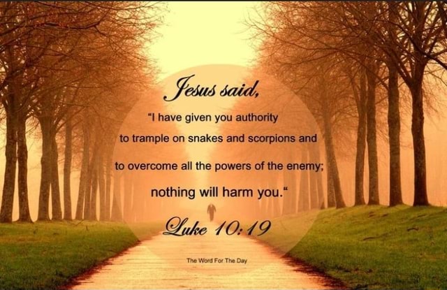 Tatd, have given you authority to trample on snakes and scorpions: to