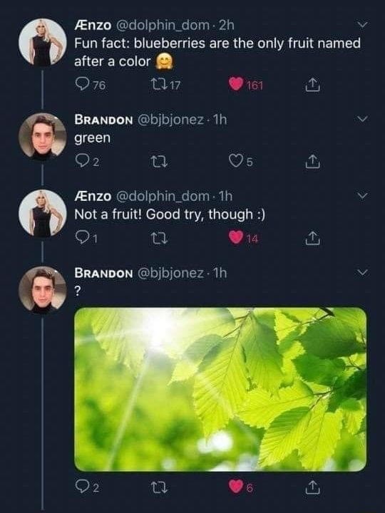 Fun fact blueberries are the only fruit named after a color iFunny