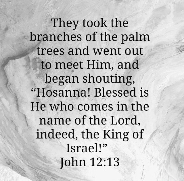 They Took The Branches Of The Palm Trees And Went Out To Meet Him And Began Shouting Hosanna