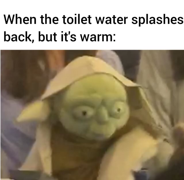 When the toilet water splashes back, but it's warm iFunny