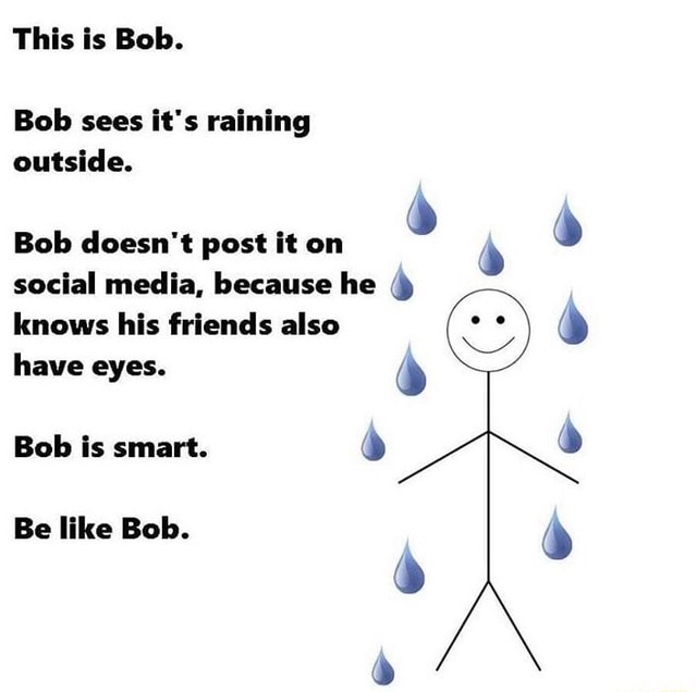 This Is Bob Bob Sees It S Raining Outside Bob Doesn T Post It On Social Media Because He Knows His Friends Also Have Eyes Bob Is Smart Be Like Bob O