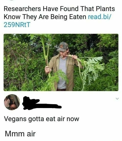 Researchers Have Found That Plants Know They Are Being Eaten read.bi