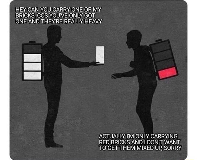 HEY CAN YOU CARRY ONE OF MY. BRICKS, COS YOU'VE ONLY GOT, ONE AND THEY ...