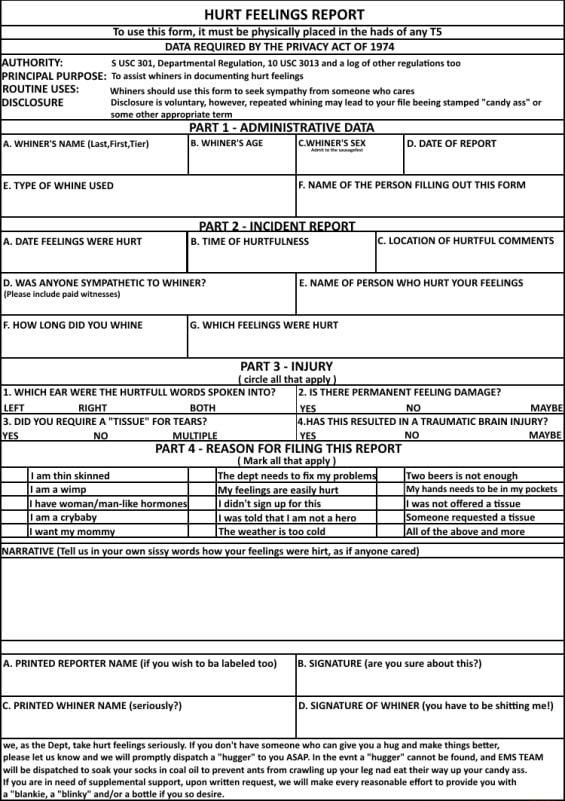 HURT FEELINGS REPORT use this Yorm, must be physically placed in the ...