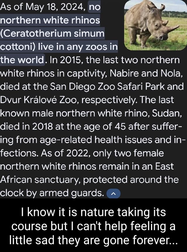 As of May 18, 2024, no northern white rhinos (Ceratotherium simum ...