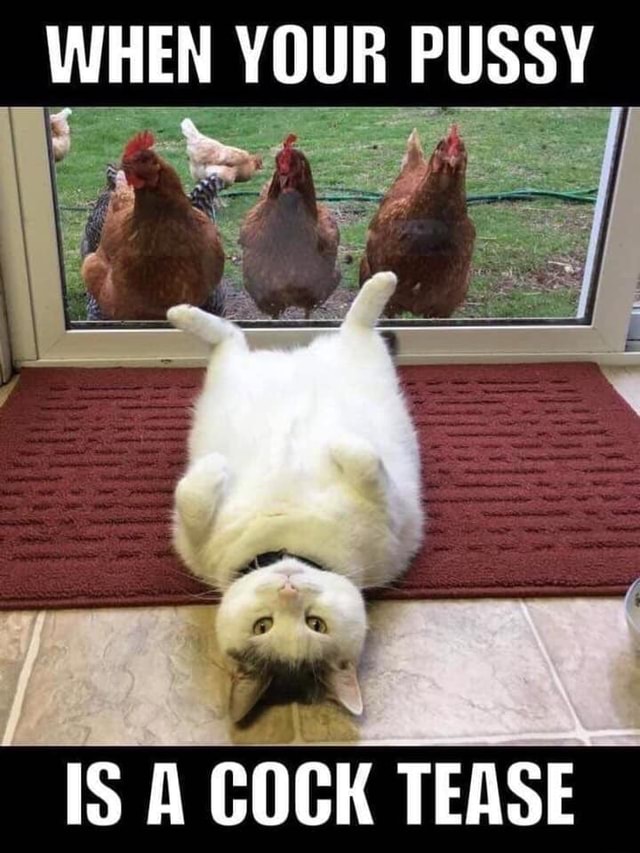WHEN YOUR PUSSY IS A COCK TEASE - )