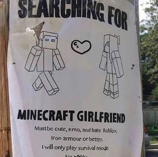 Minecraft Girlfriend Mustbe Cute Emo And Hate Roblox Iron Armour Or Better Will Only Play Survival Mode Ala Aal - why do people hate minecraft and roblox