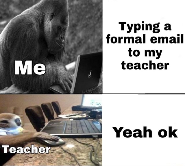 typing-a-formal-email-to-my-teacher-teacher-ifunny