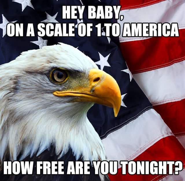 Hey Baby, On A Scale Of 1 To America How Free Are You Tonight? - Ifunny