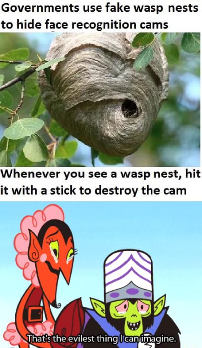 Governments Use Fake Wasp Nests To Hide Face Recognition Cams Whenever You See A Wasp Nest Hit It With A Stick To Destroy The Cam H Eat S The Evilest Thingilicanjimagine