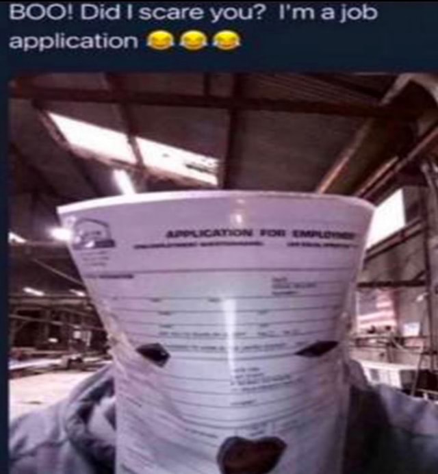 boo-did-scare-you-ne-job-application-ifunny