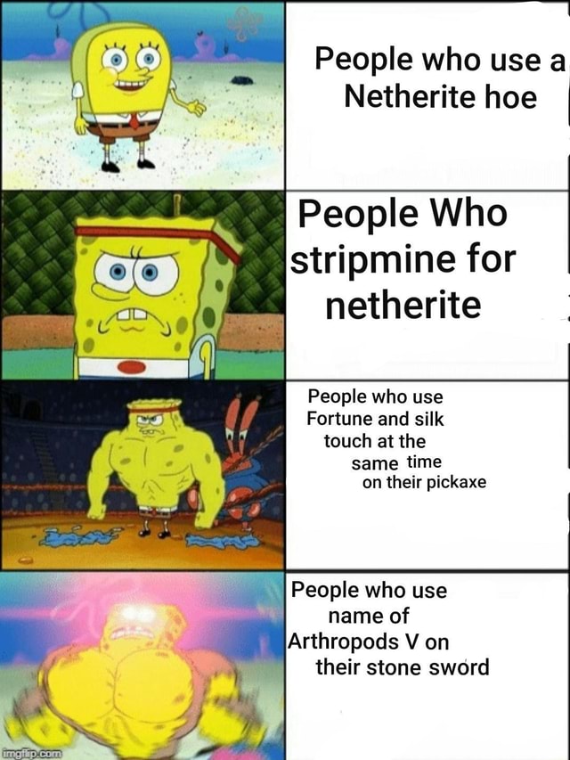 People Who Use A Netherite Hoe People Who Stripmine For Netherite 