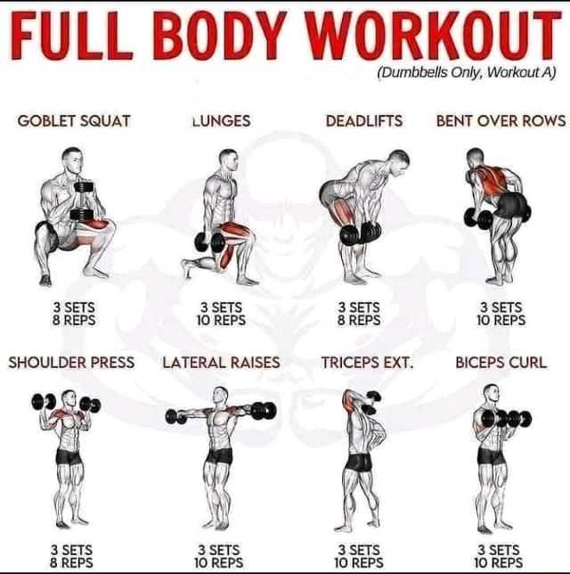 FULL BODY WORKOUT (Dumbbells Only, Workout A) GOBLET SQUAT LUNGES ...