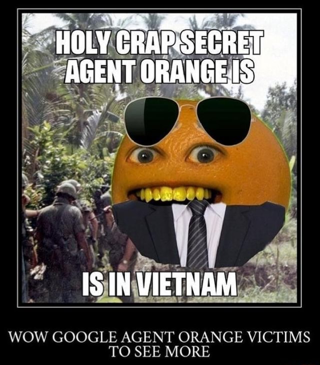 Holy Is In Vietnam Wow Google Agent Orange Victims To See More