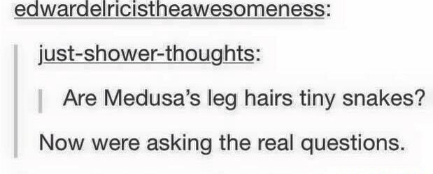 If Medusa's hair was snakes, were her leg hairs tiny little baby