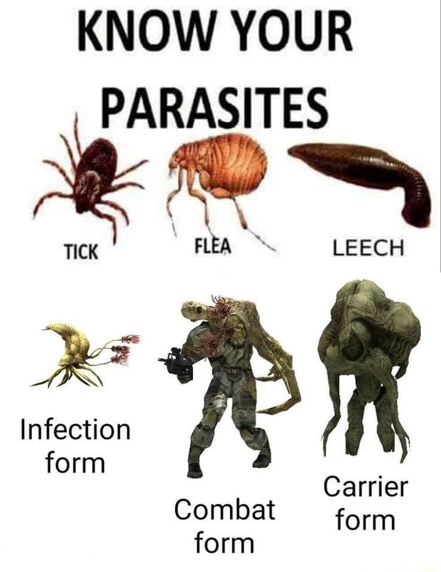 KNOW YOUR TICK PARASITES LEECH Infection form Carrier Combat form form