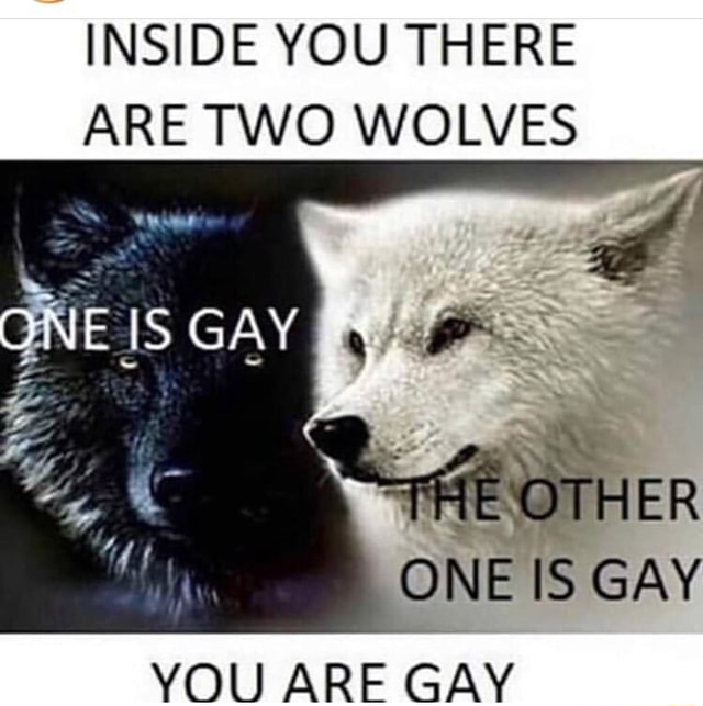 INSIDE YOU THERE ARE TWO WOLVES YOU ARE GAY - iFunny