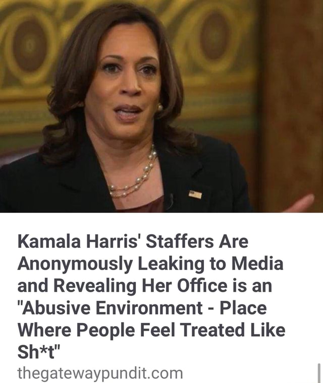 Kamala Harris' Staffers Are Anonymously Leaking to Media and Revealing ...