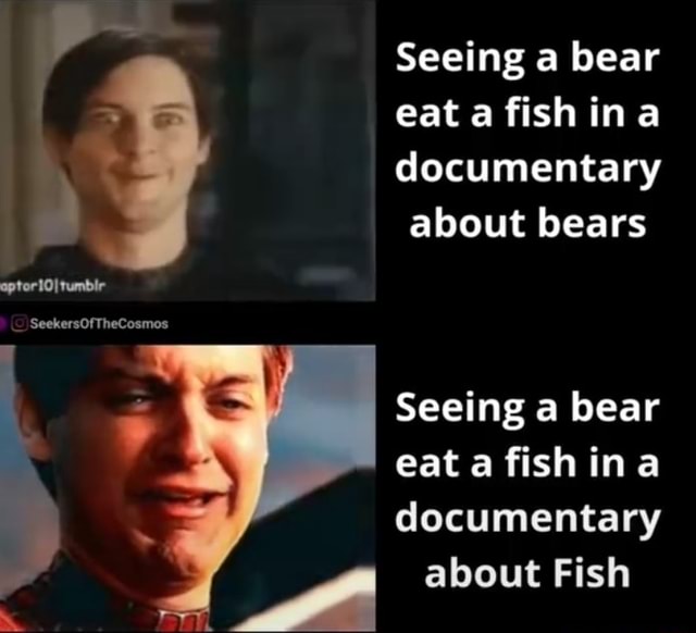 Seeing a bear eat a fish in a documentary about bears tumbir ...