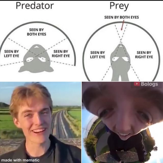 eyes predator vs prey