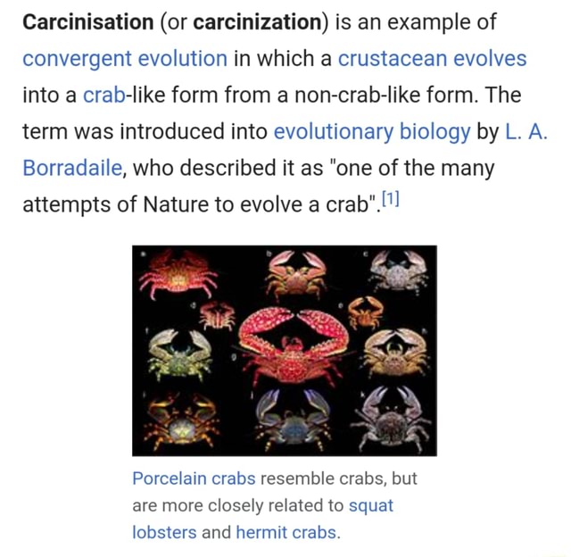 Carcinisation (or carcinization) is an example of convergent evolution