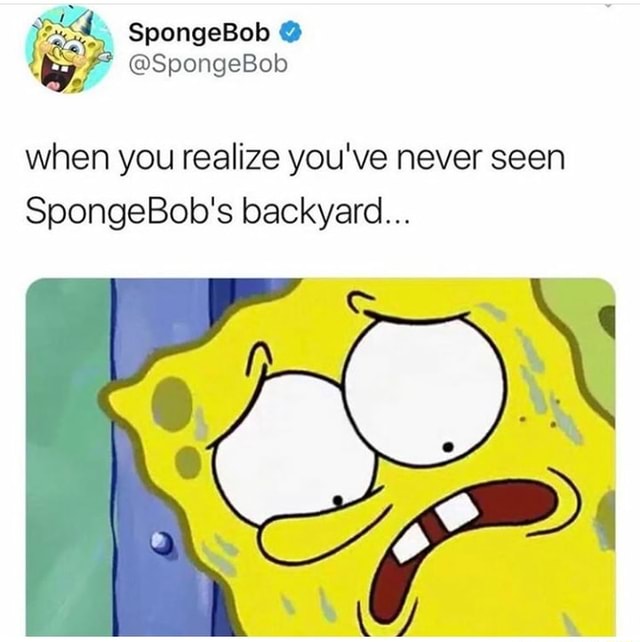 When you realize you've never seen SpongeBob's backyard... - iFunny