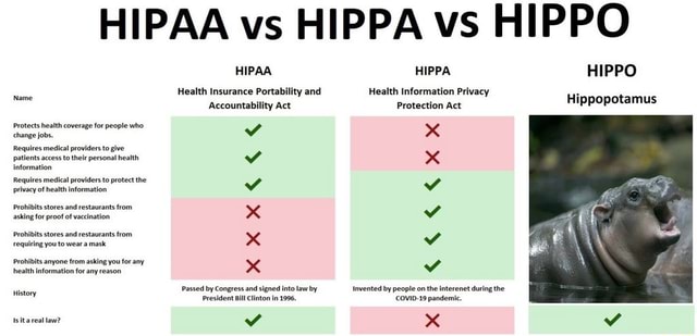 HIPAA vs HIPPA vs HIPPO HIPPO Hippopotamus Name Protects health ...