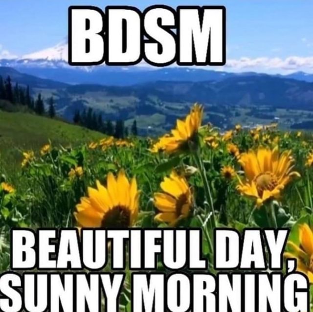 BDSM BEAUTIFUL DAY SUNNY MORNING - iFunny
