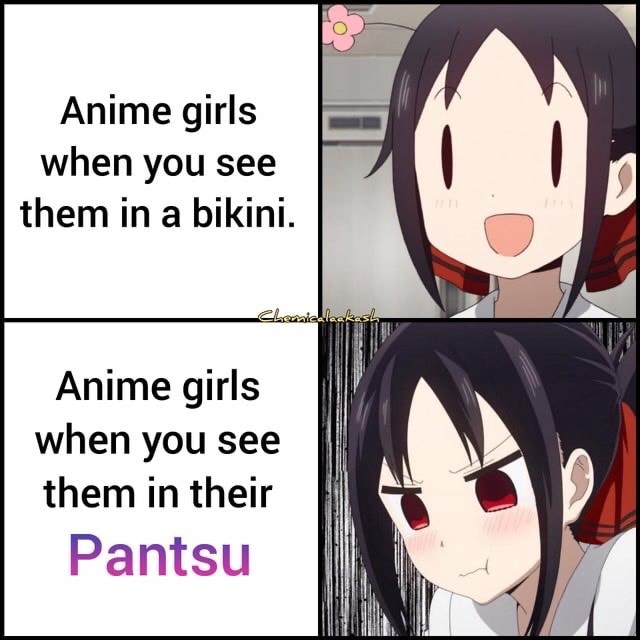 Anime girls when you see them in a bikini. Anime girls when you see ...