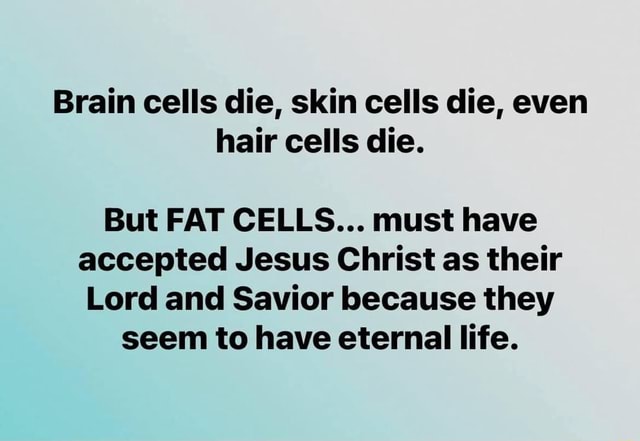 brain-cells-die-skin-cells-die-even-hair-cells-die-but-fat-cells