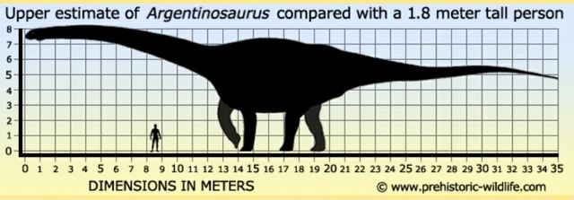 How Tall Is 15 Meters Compared To A Human