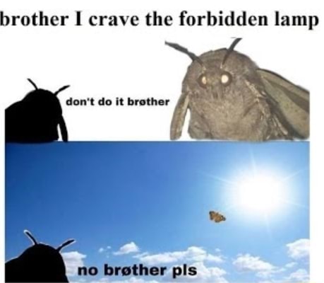 Brother l crave the forbidden lamp - iFunny