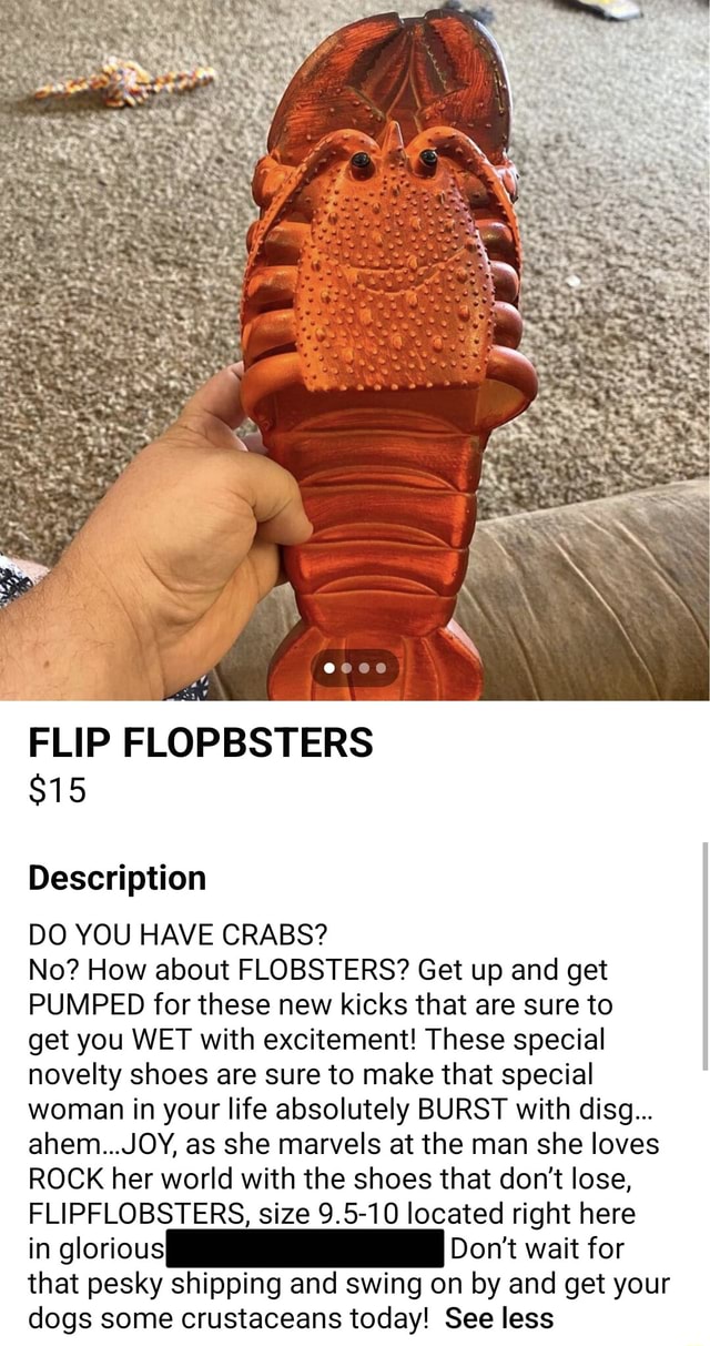 FLIP FLOP 15 Description DO YOU HAVE CRABS? No? How about FLOBSTERS