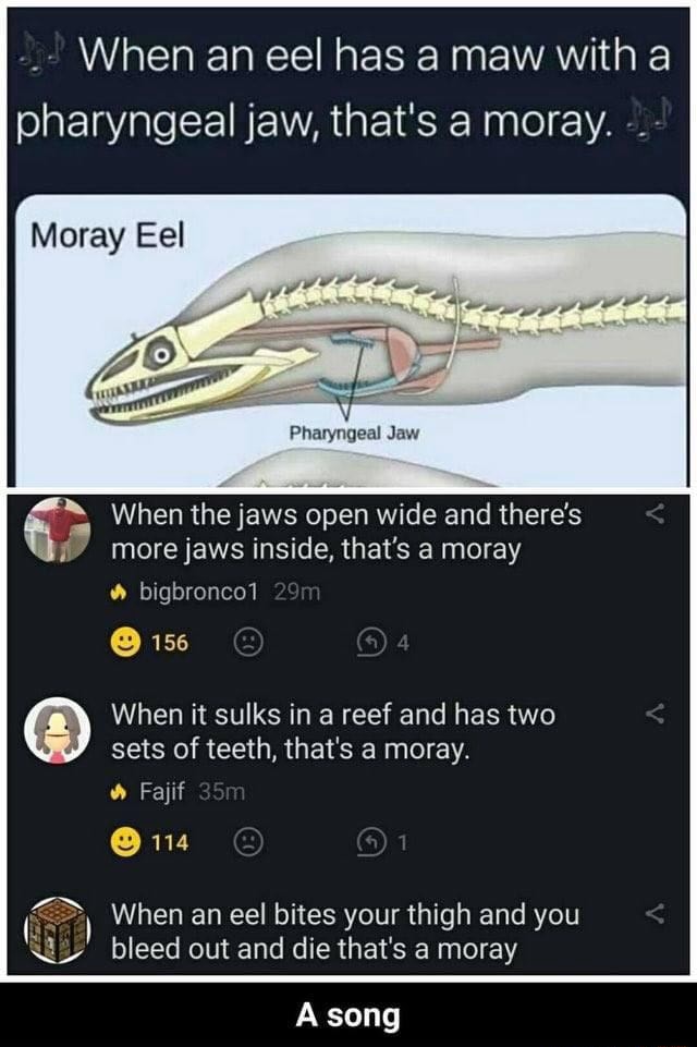When an eel has a maw with a pharyngeal jaw, that's moray. Moray Eel