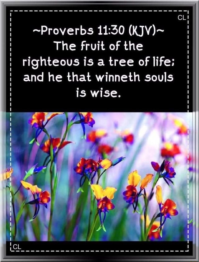 proverbs-kjv-the-fruit-of-the-righteous-is-a-tree-of-life-and-he