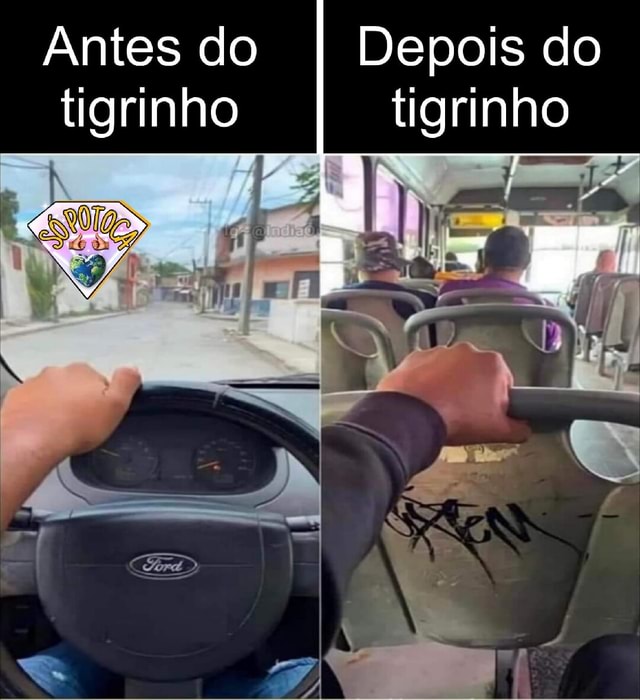 Antes Do Depois Do Tigrinho Tigrinho I I Ifunny Brazil