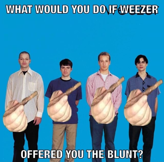 WHAT WOULD YOU DO IF WEEZER OFFERED YOU THE BLUNT? - iFunny