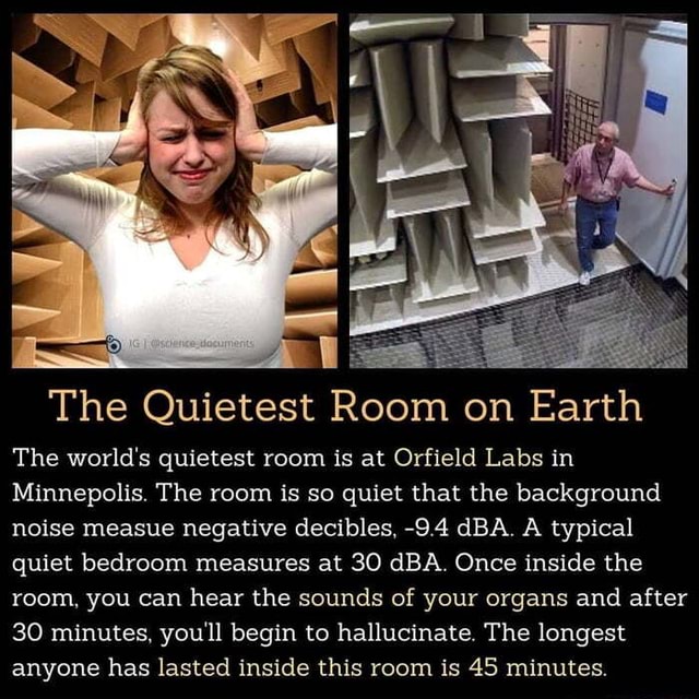 The Quietest Room on Earth The world's quietest room is at Orfield Labs ...